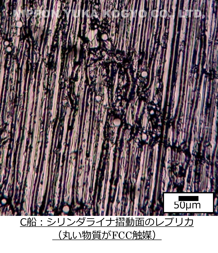 カビの菌糸 分断されていて活性は低い